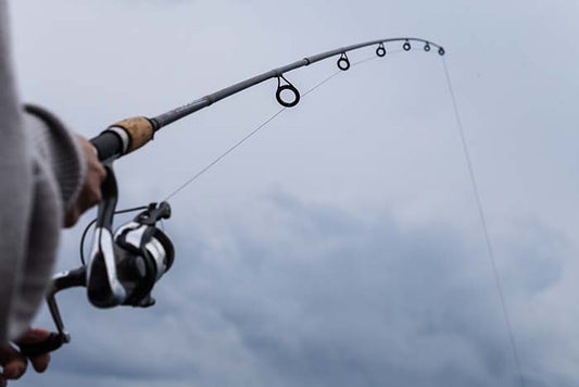 How do you string a Fishing Pole? - WindRider Blog