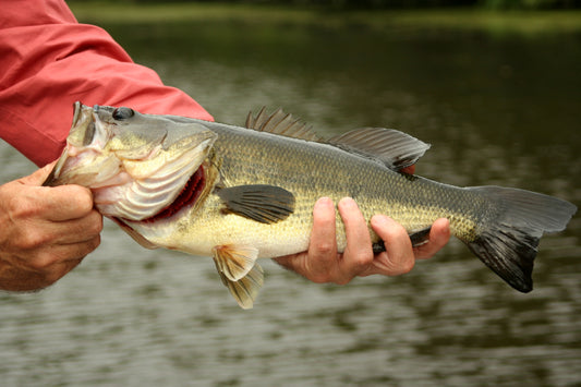 Structure Fishing for Largemouth - WindRider Blog
