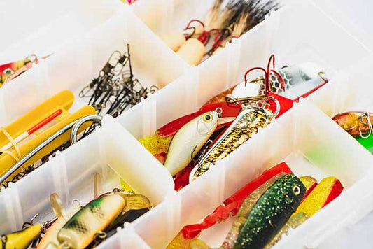 Fishing Scents and Attractants - Do They Work? - WindRider Blog