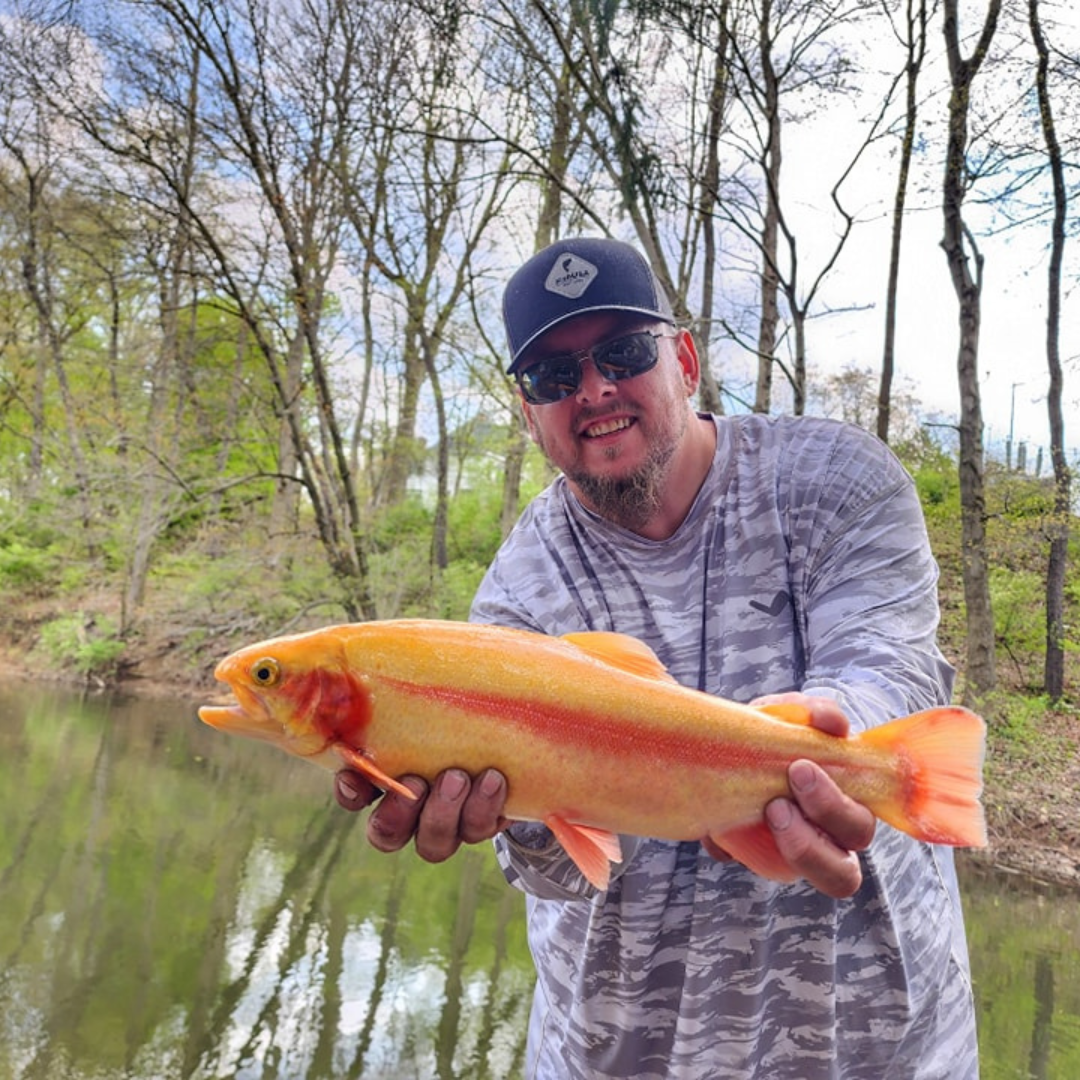 Man holding large golden fish in grey camo sol invictus pro shirt by lake with trees